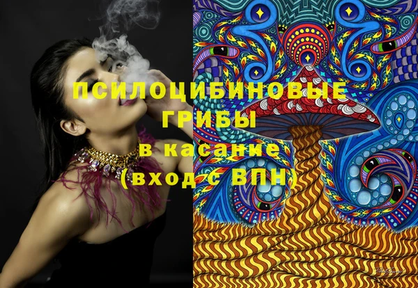 PSILOCYBIN Богородск